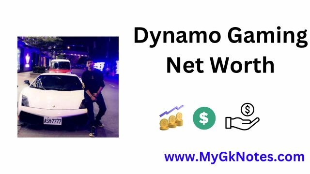 Dynamo Gaming Net Worth: Income